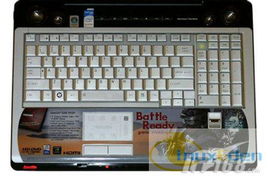 东芝Satellite X205-S9359游戏笔记本 Linux系统兼容性与数字动漫制作测试